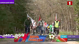 Велопробег ко Дню Победы устроили в Беловежской пуще 