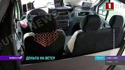 Ворона украла дневную выручку у водителя маршрутного такси в Гомеле 