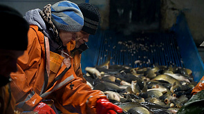 Все о рыбхозах расскажем в новой серии проекта "Беларусь созидающая"