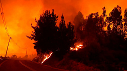 За неделю в Чили сгорело леса больше, чем за год