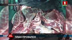 У теневых перевозчиков в Могилевской области автомобили были забиты более чем 4 тоннами мяса 