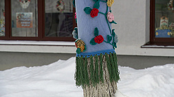 В Борисове деревья укутывают в теплые шарфики