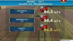 Минская область продолжает массовую уборку зерна
