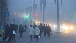 Беларусь окутал плотный туман - синоптики объявили оранжевый уровень опасности 