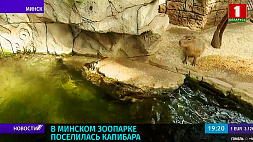 В Минском зоопарке весеннее пробуждение 