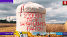 В Беларуси собрано 4 миллиона 863 тысячи тонн хлеба