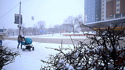 Морозы в Беларуси станут крепче