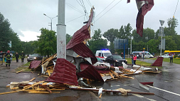 Непогода в Беларуси стала причиной падения 98 деревьев, повреждены 6 авто