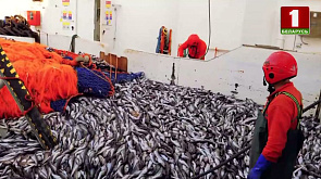 Беларусь впервые начнет добывать рыбу на Дальнем Востоке