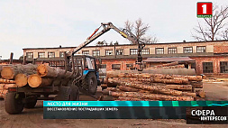 Более 19 млрд долларов вложила Беларусь за 35 лет в восстановление после чернобыльской катастрофы 
