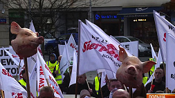 Митинг в Варшаве: протестующие принесли свиные головы и стали поджигать импортный уголь