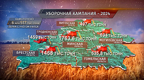 Уборочная кампания - 2024: Намолочено 6 млн 517 тыс. т зерна с учетом рапса 