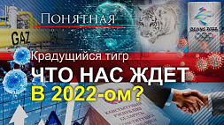 Чего ждать в год Тигра - прогноз на 2022 год от авторов "Понятной политики"