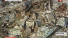 В Беларуси продолжается и масштабная операция по поиску сбитых во время войны самолетов