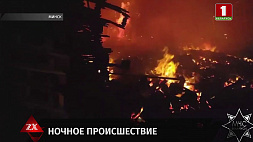 ЧП на территории Минского теплично-парникового комбината: сигнал о возгорании поступил от очевидцев