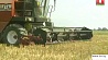 Белорусские аграрии преодолели миллионный рубеж