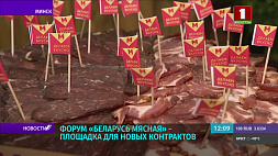 О вкусе белорусского мяса говорят на Международном экспортном форуме "Беларусь мясная"