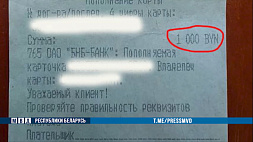 Бесконтактный способ обмана: как украинские мошенники оставили жительницу Кричева без сбережений и квартиры