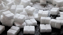 Урожай сахарной свеклы ожидается на 20 % выше уровня прошлого года
