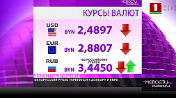 Курсы валют на 8 октября - белорусский рубль укрепился к доллару и евро