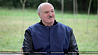 Лукашенко: В Беларуси не будет никакой мобилизации