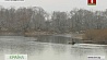 Водно-болотный заказник начал функционировать в Славгородском районе