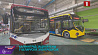 Калининградская область заинтересована в приобретении белорусских электробусов