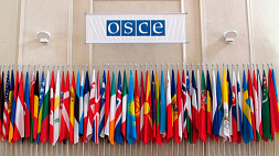 Беларусь примет участие в зимней сессии ПА ОБСЕ в Вене 