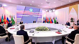 Предостережение от Лукашенко на саммите СНГ