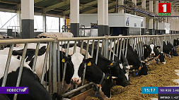 В Витебской области продолжается восстановление свиноводческих и молочно-товарных комплексов