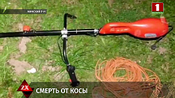 В Минском районе женщину убила электрокоса