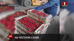 Почти тонну ягод и фруктов и офисную бумагу пытались ввести в Беларусь, но аферу раскрыли