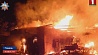 Крупный пожар  в Гомеле на деревообрабатывающем предприятии