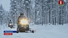 Финляндия приглашает на сафари-тур за полярным кругом