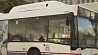 В Сиднее антисемиты напали на автобус с детьми