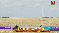 Убрать качественно, не допустить потерь. Белорусские аграрии включаются в большую жатву 