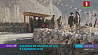 Боевики ИГ напали на КПП в Таджикистане