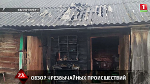 Спасатели в Несвижском районе вызволили из горящего дома женщину, а в Евпатории из-за пожара погибли более 200 животных - обзор происшествий