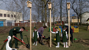Воспитанники Березинского детского сада № 2 начали весеннюю  работу с озеленения 