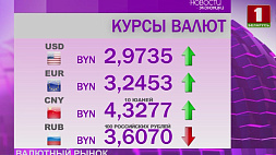 Ситуация на валютном рынке Беларуси на 10 апреля 