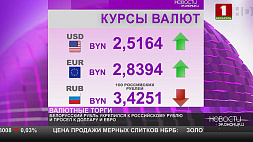 Курсы валют на 15 декабря - белорусский рубль ослаб к доллару и евро