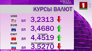 В Беларуси изменилась ситуация с российским рублем и долларом 