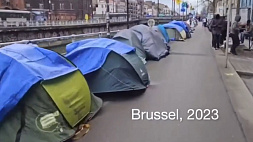 В Брюсселе беженцы разбили палаточный лагерь