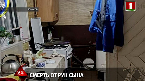  Житель Борисова избил мать, от полученных травм женщина скончалась