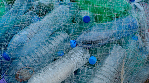 Около 450 т пластиковых отходов ежегодно образуется в Беларуси