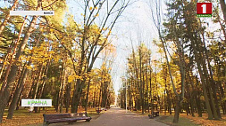 Несколько дней подряд в Беларуси фиксировались нехарактерные для середины осени температуры 