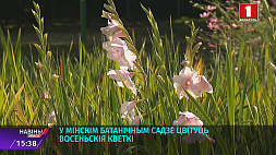 В Минском ботаническом саду цветут осенние цветы