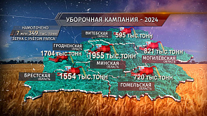 Хлеборобы Беларуси трудятся в полях, обеспечивая продовольственную безопасность страны