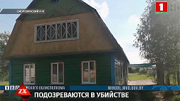 В Смолевичском районе задержаны четверо минчан, которых подозревают в убийстве местного жителя