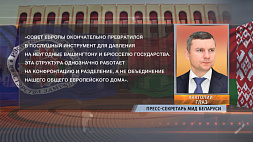 Анатолий Глаз заявил, что Беларусь может отозвать заявку на вступление в Совет Европы